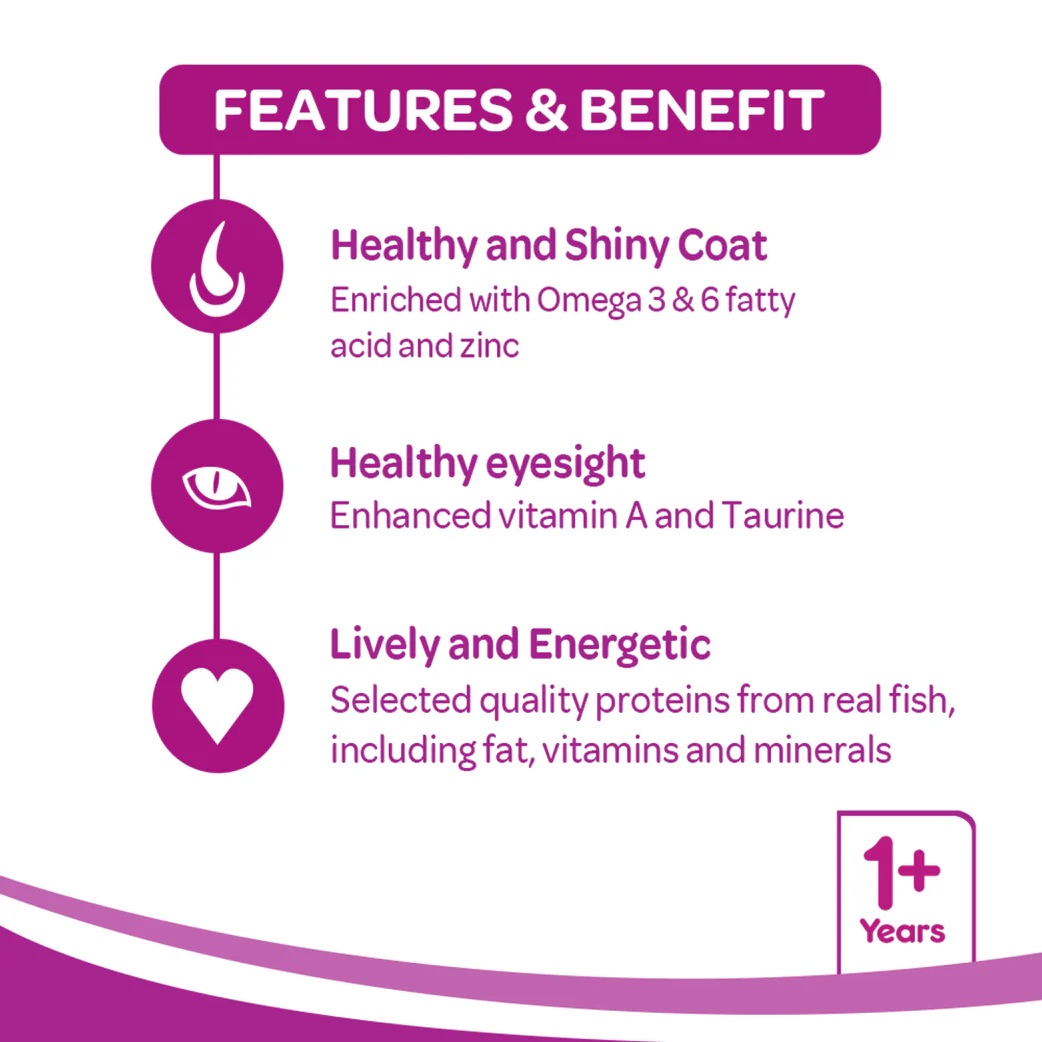 Whiskas Dry Cat Food for Adult Cats (1+ Years), Ocean Fish Flavour (480gm)